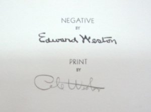 Reverso of Weston Estate Stamp with original Cole Weston signature