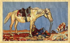 8 Little Joe the Wrangler