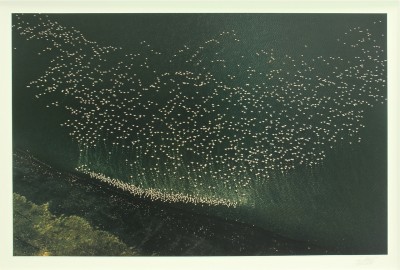 Ernst Haas Dye-tranfer print from “The Creation” 1982