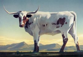 Ed Mell Longhorns, signed lower right. Image size: 10 x 15 inches, Archival Pigment Print , framed (21" x 26") with Ed Mell Signature Frame, embossed signature on lower right side, $1,575.00.00 Shipping $75.00, continental U.S.