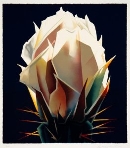 "Diamond Bloom" 27" x 24", lithograph, 2019,  Ed Mell  Price on request. Framing with Ed Mell Signature Frame is Additional, call for pricing