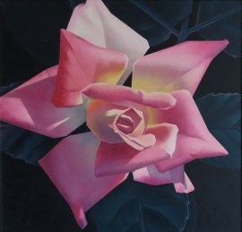 Star Rose, oil on canvas, 30 x 30 inches. Sold
