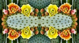 Diego & Frida Bow Tie. Shipping included, continental US. Custom sizes available. Original art by Michael Collier, Copyright 2017