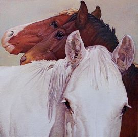 INDIA BLANCA Limited to 75 40 x 40 inches $1875 Open edition: 18 x 18 inches $450 14 x 14 inches $300