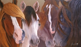 CABALLOS PERUANOS Limited to 75 40 x 68 inches $2850 Open edition: 28 x 48 inches $1475 16 x 28 inches $550