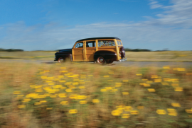 WOODY ERIK, OK by Terrence Moore