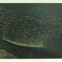 Ernst Haas, The Creation (1982) Dye-tranfer Print